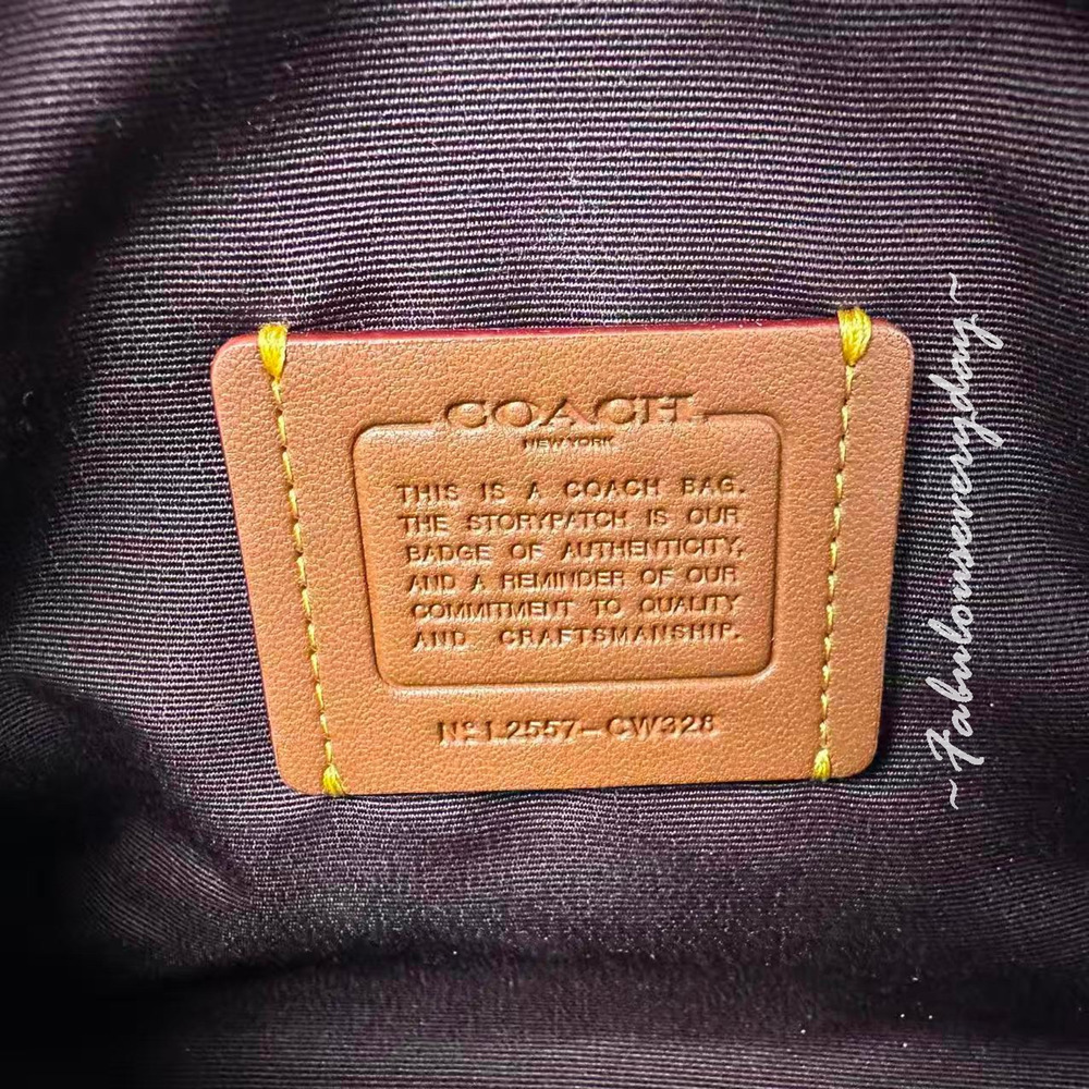 Coach Mini Rowan Bag Crossbody in Leather/Sliver Light Violet Jasmine CW328 NWT - Picture 6 of 8